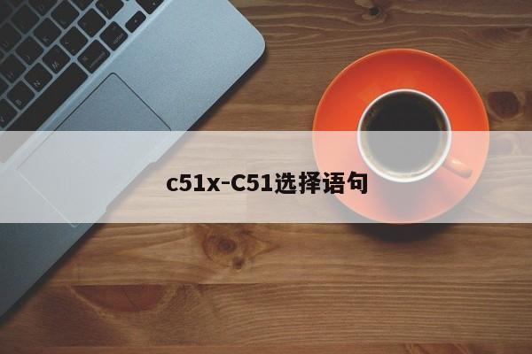 c51x-C51选择语句