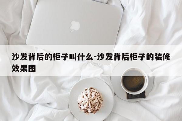 沙发背后的柜子叫什么-沙发背后柜子的装修效果图